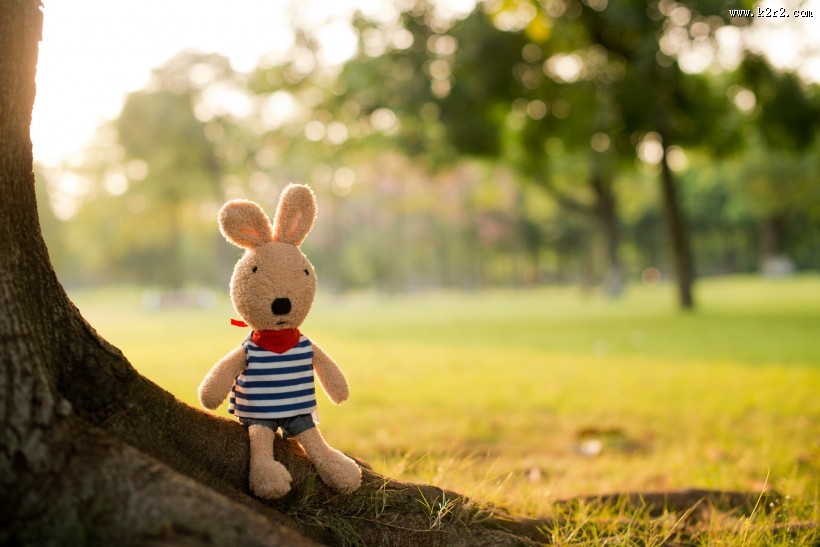 砂糖兔公仔图片