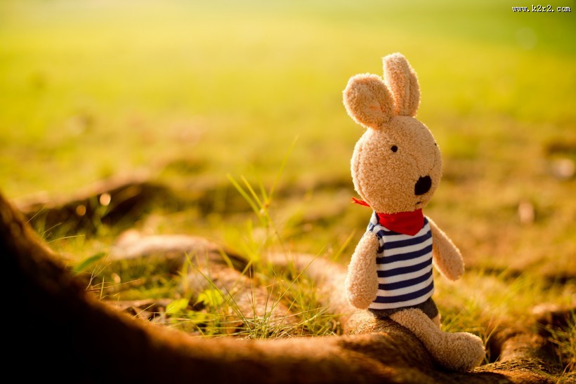 砂糖兔公仔图片