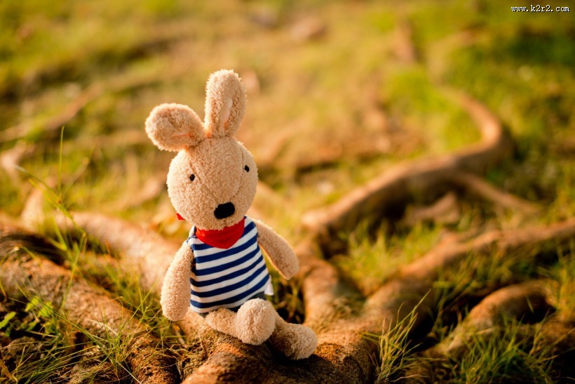 砂糖兔公仔图片