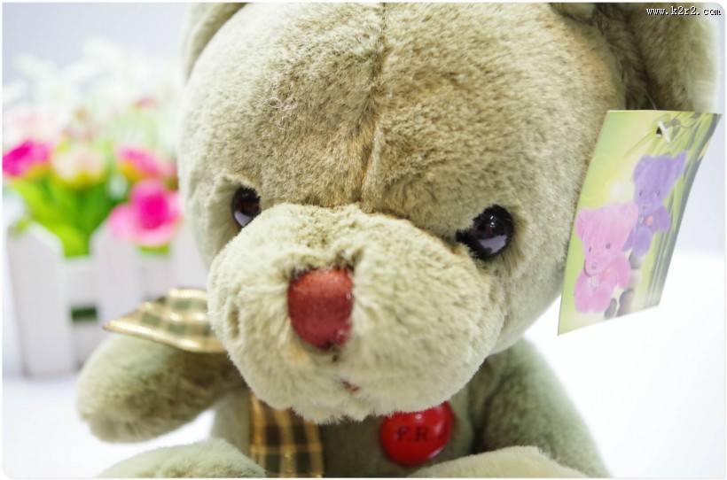 泰迪熊公仔图片