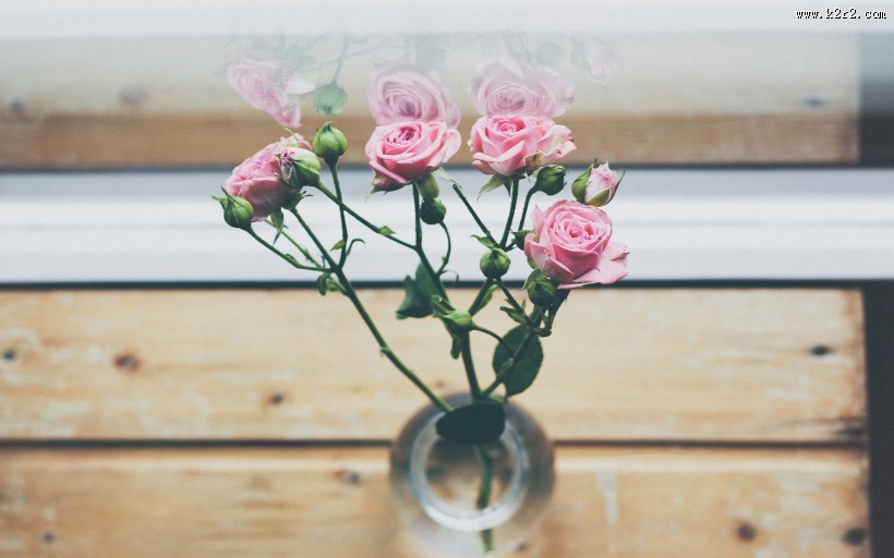 唯美的花瓶图片