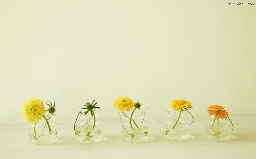 唯美的花瓶图片