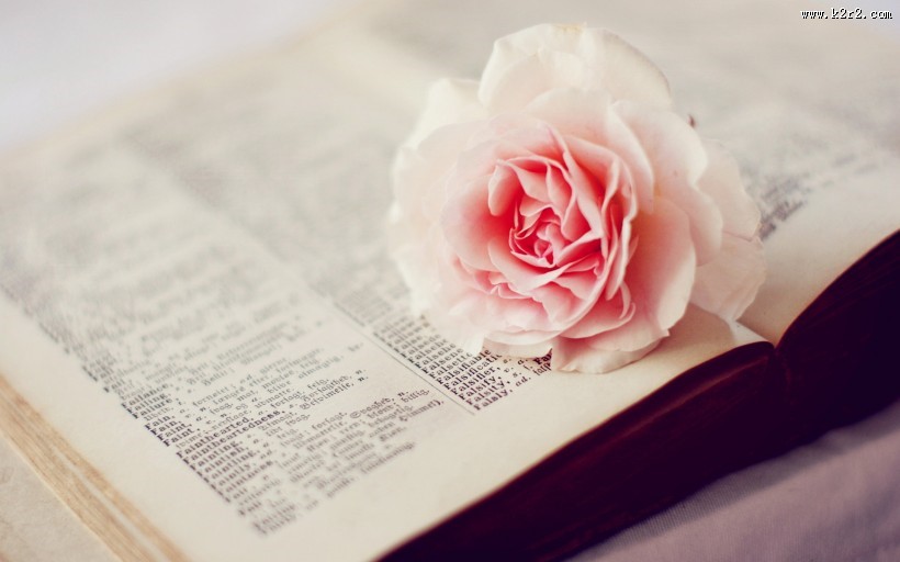 唯美清新的小书本图片