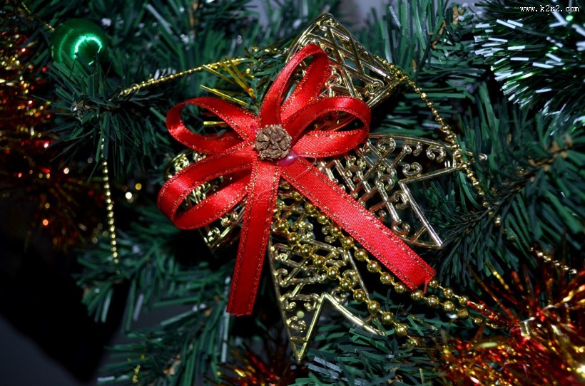 彩带蝴蝶结图片