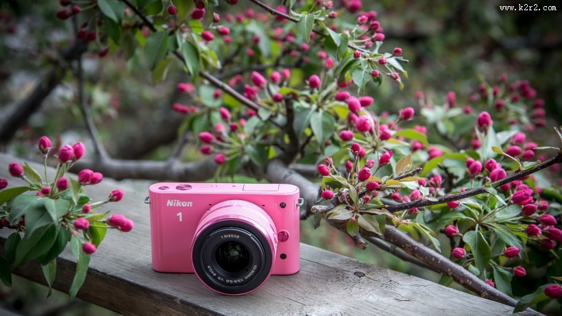 数码相机图片大全