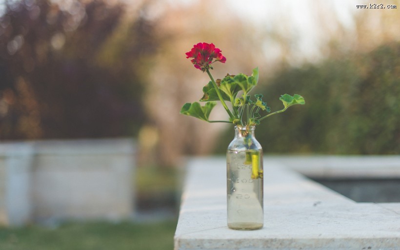 透明玻璃瓶特写图片