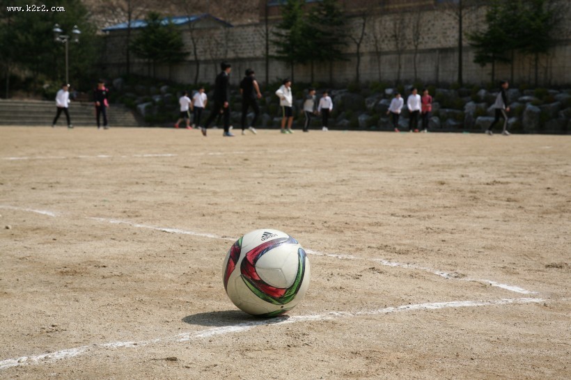 足球场上的足球图片