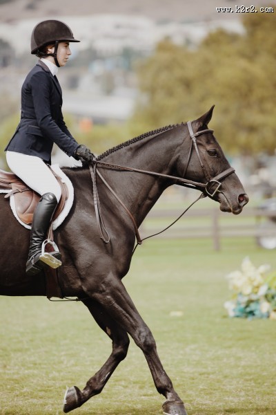 赛马比赛的图片
