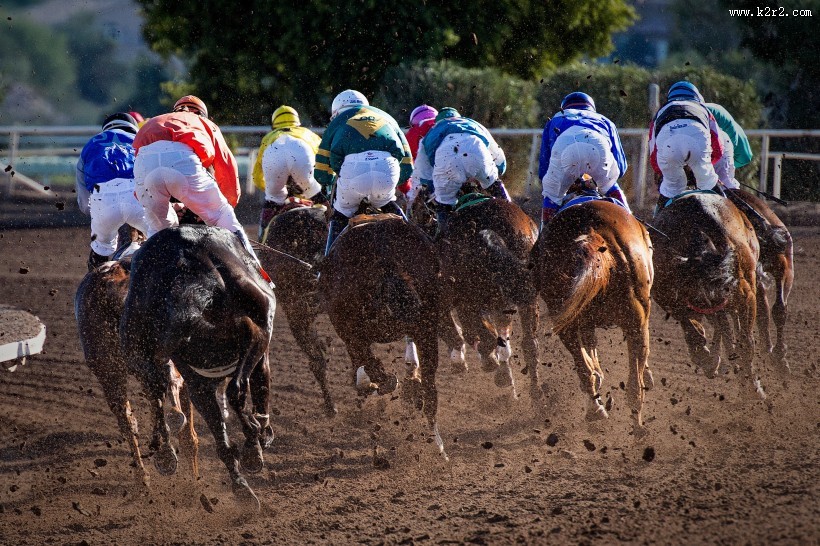 赛马比赛的图片