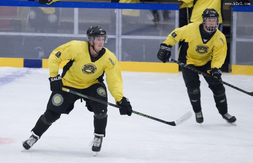 冰上曲棍球运动图片