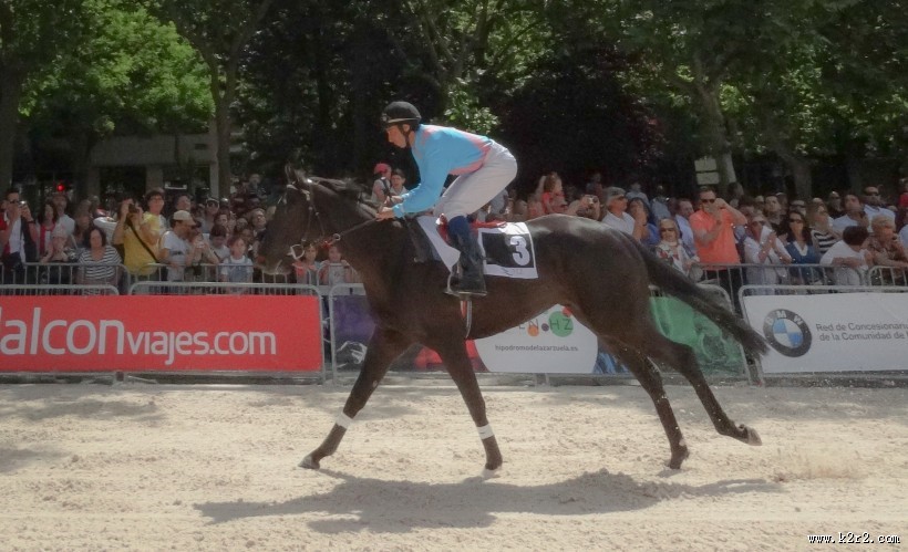 马场里正在进行的赛马比赛图片大全