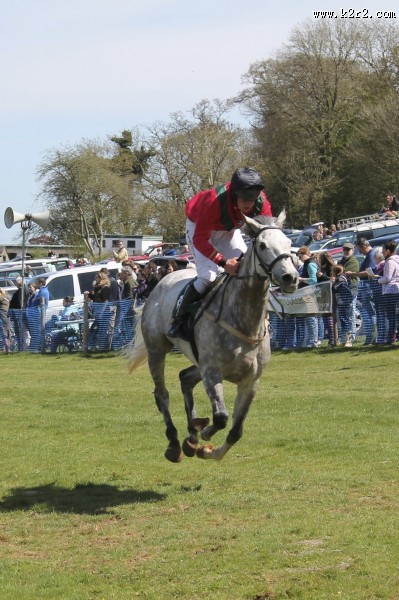 马场里正在进行的赛马比赛图片大全