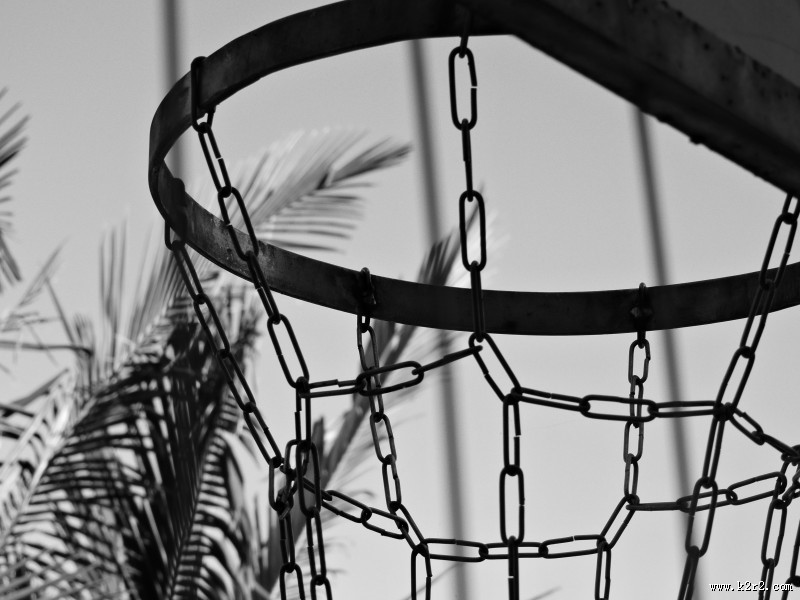 篮球架图片