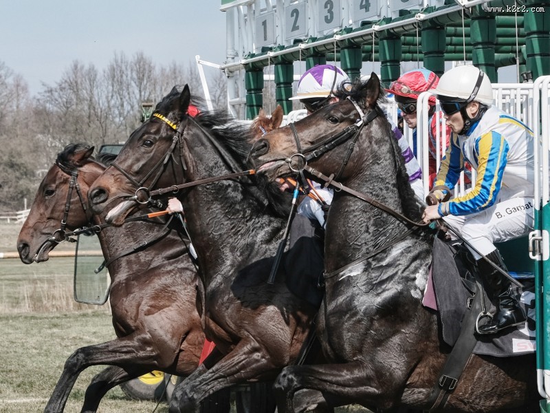紧张刺激的赛马比赛图片