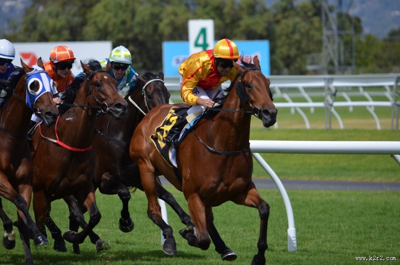 紧张刺激的赛马比赛图片