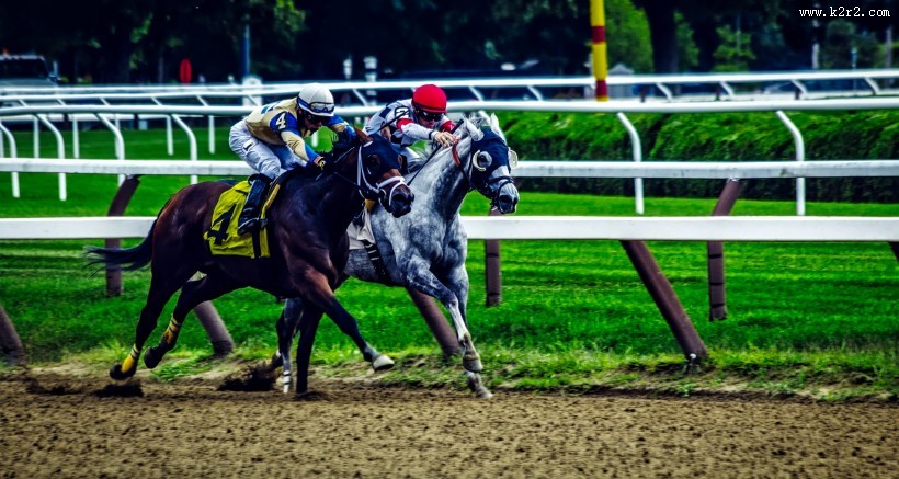 紧张刺激的赛马比赛图片