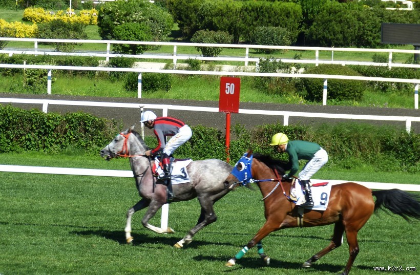 紧张刺激的赛马比赛图片