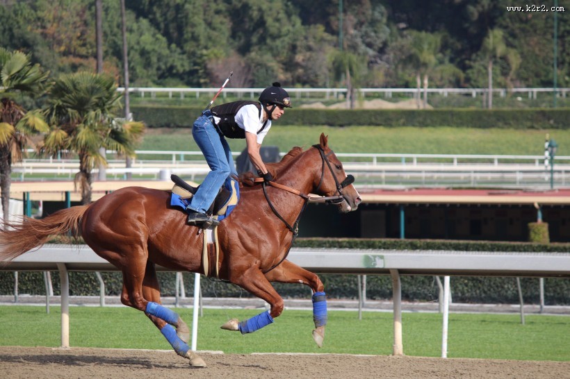 紧张刺激的赛马比赛图片