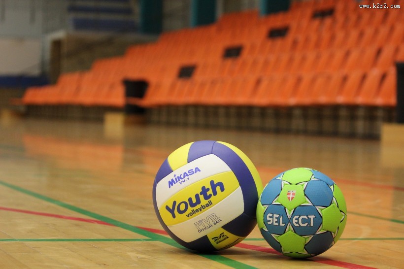 做工精美的排球图片