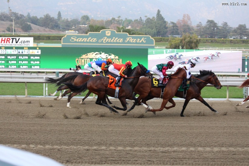 激烈的赛马比赛图片大全