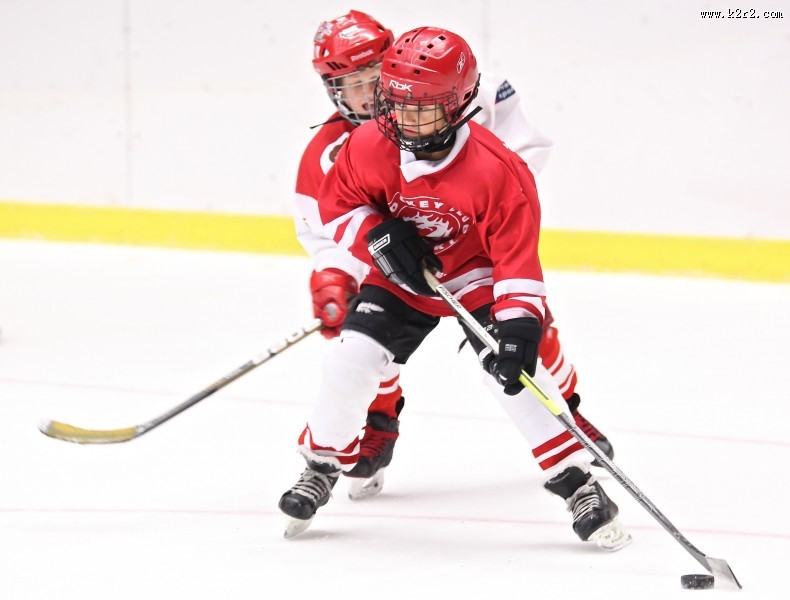 曲棍球运动图片大全