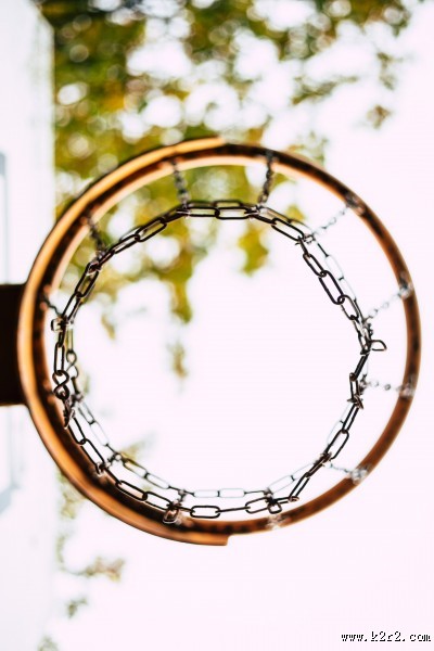 篮板上的篮球框图片大全