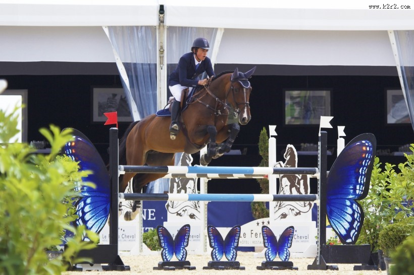 跨越障碍的赛马图片