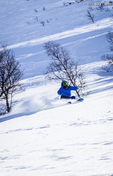 滑雪运动图片大全