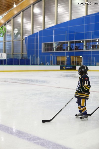 曲棍球运动图片大全