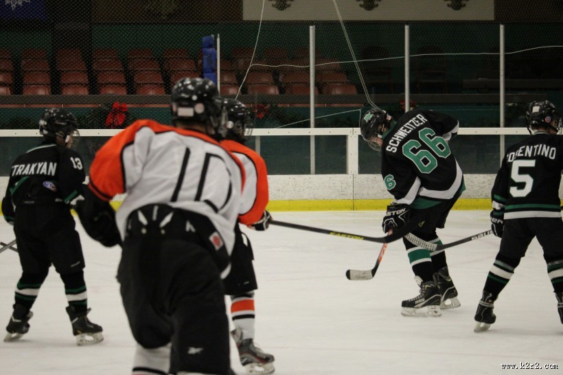 曲棍球运动图片大全