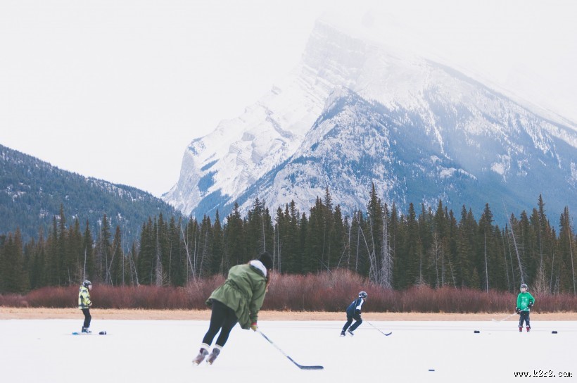 曲棍球运动图片大全