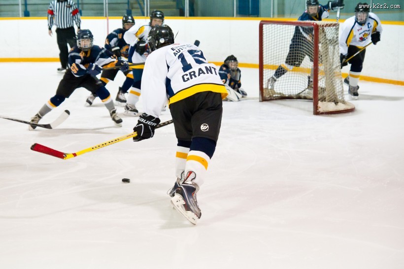 曲棍球运动图片大全