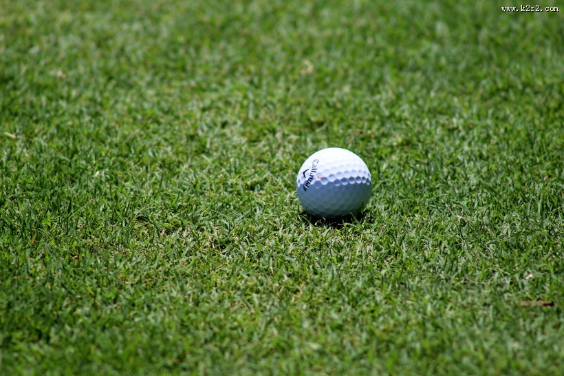 白色的高尔夫球图片大全