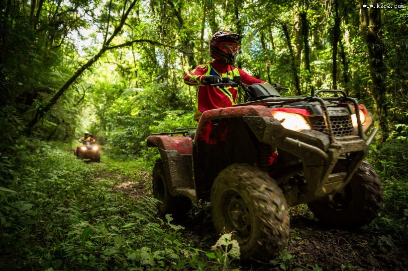 林中竞技的四轮赛车驶图片