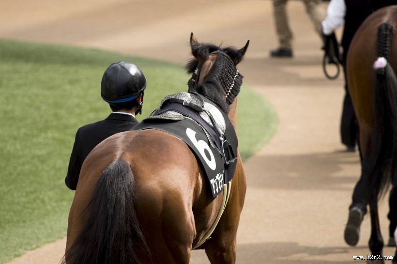 日本赛马比赛的图片