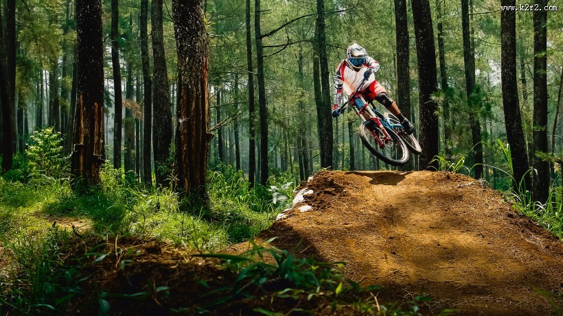 花样极限秀车技的人图片