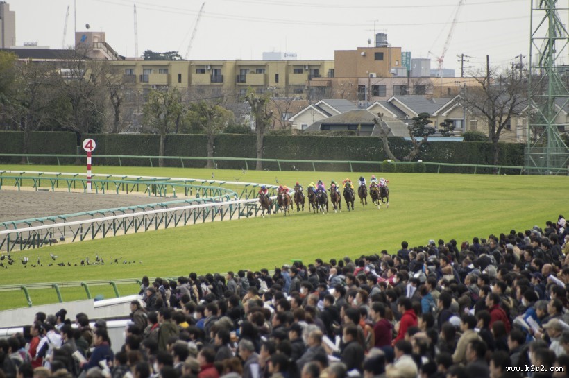 激烈的赛马比赛图片