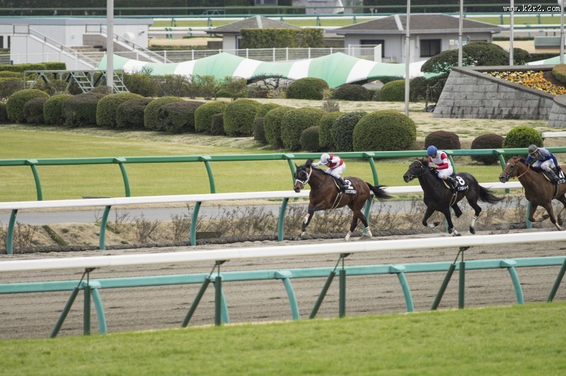 激烈的赛马比赛图片