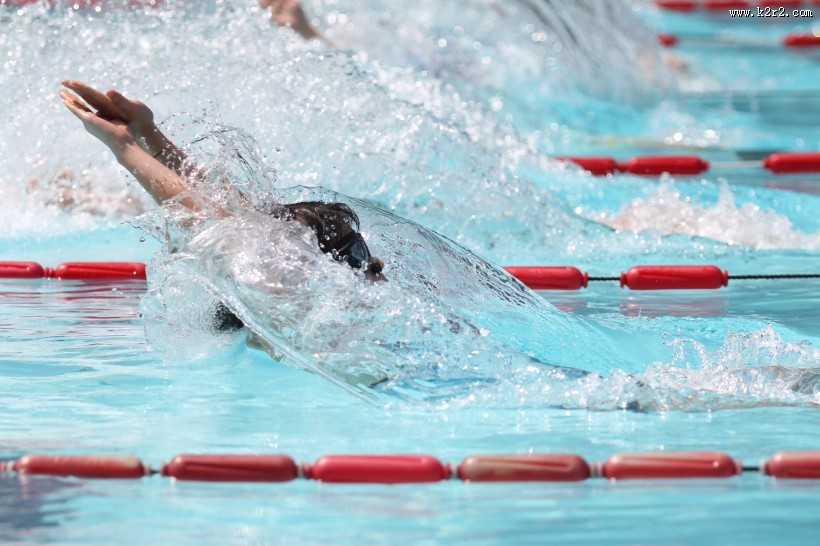 水池游泳的人图片