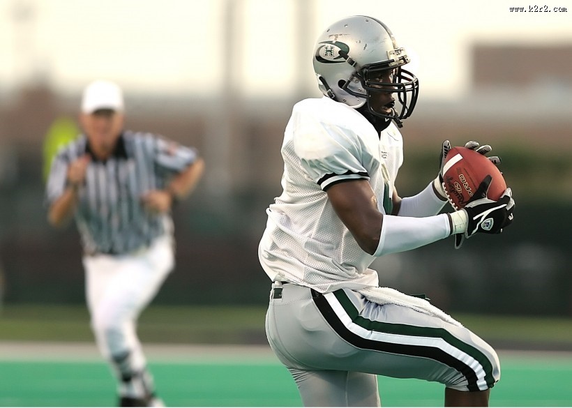 美式橄榄球之职业篇图片