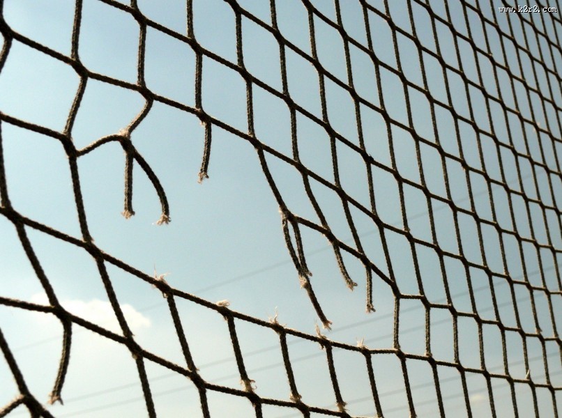 球场围网图片大全