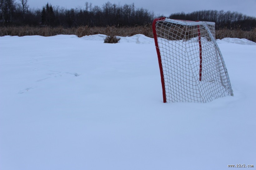 球场围网图片大全