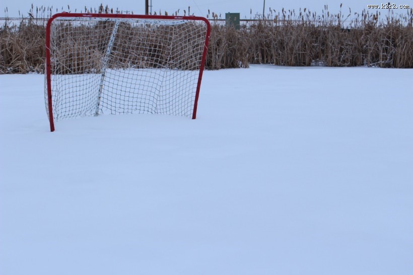 球场围网图片大全