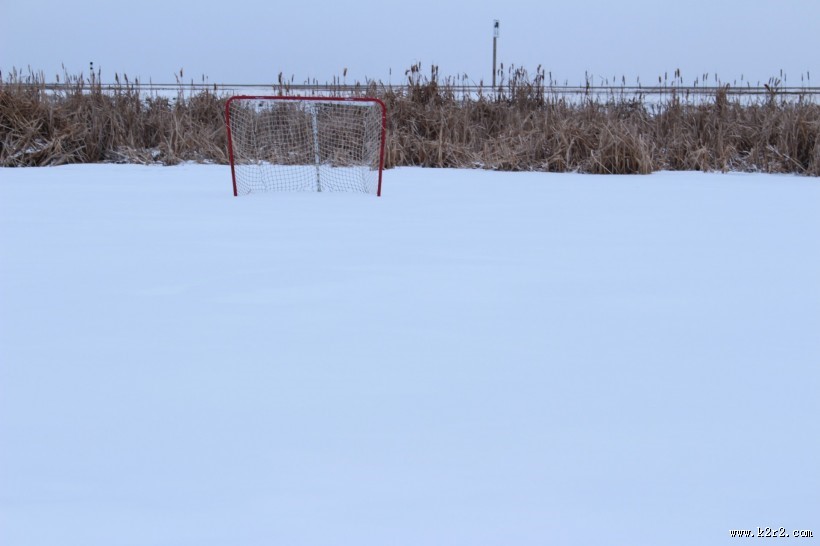 球场围网图片大全