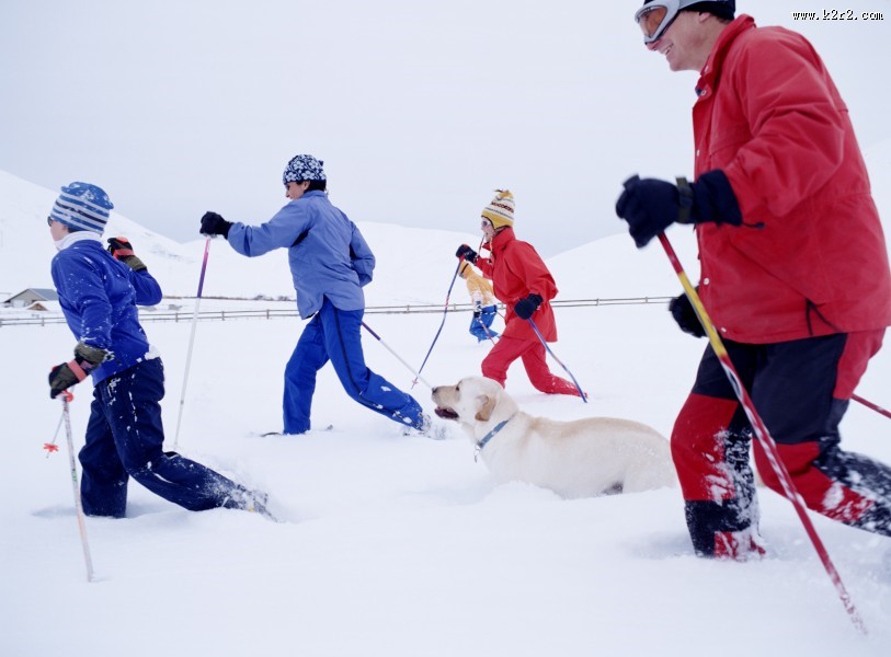 高清滑雪运动图片
