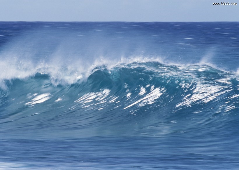夏威夷冲浪图片大全