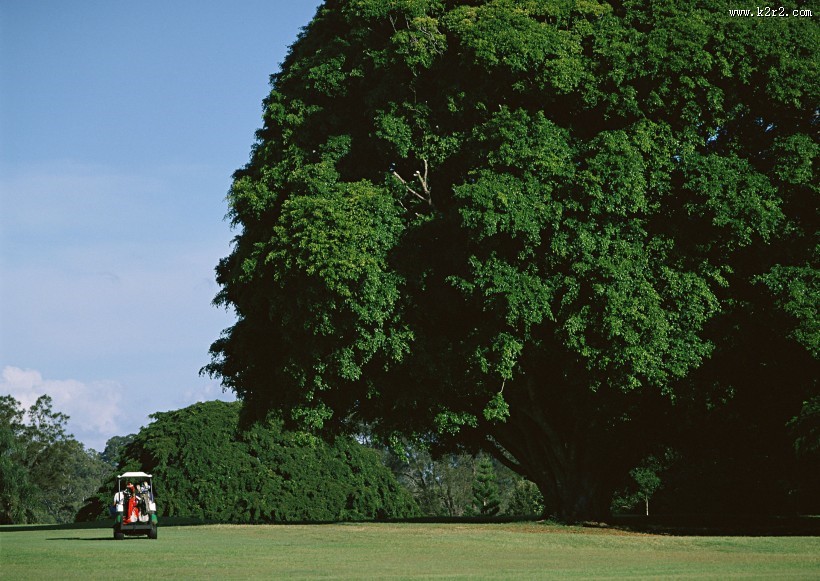 高尔夫运动图片大全