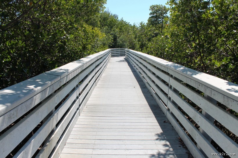 古朴的木桥图片大全