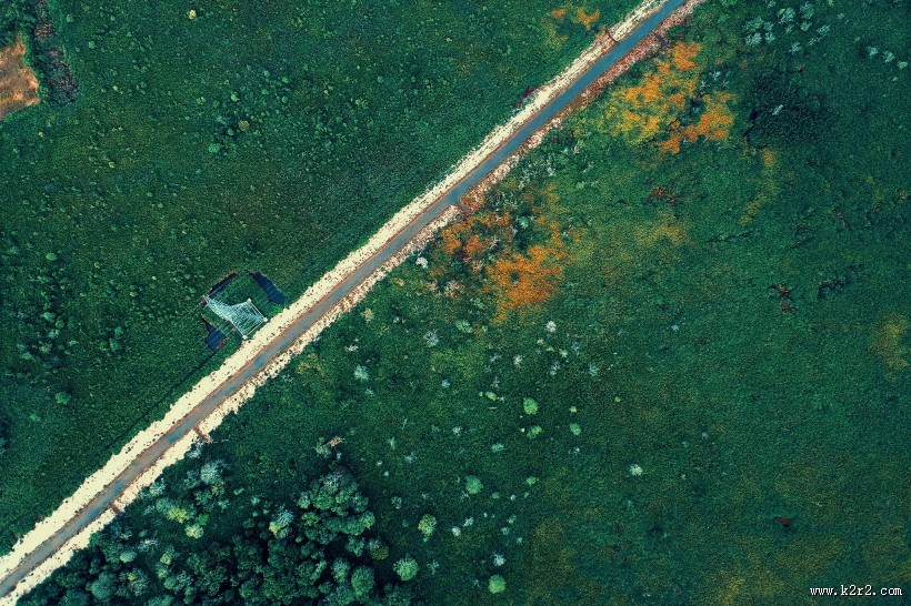 树林里的公路图片大全