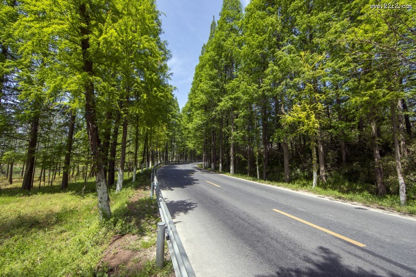城市道路风景图片